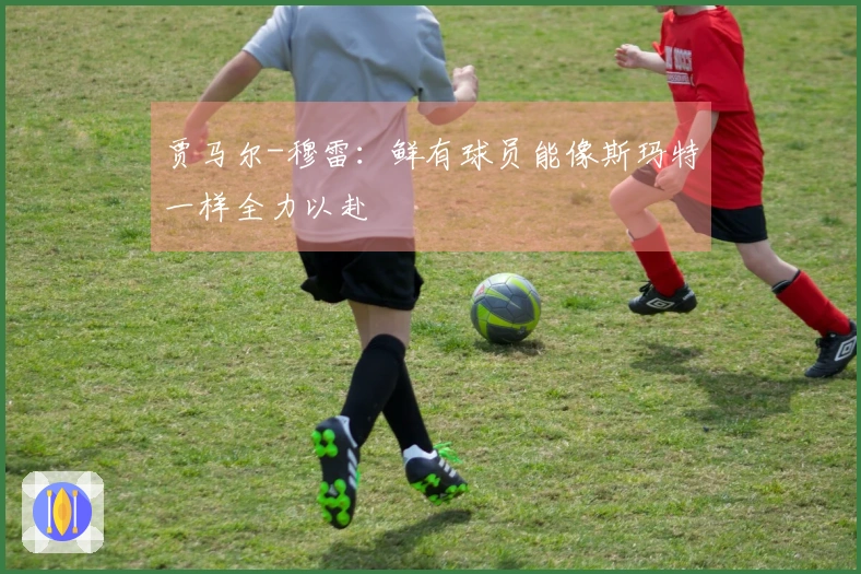 贾马尔-穆雷：鲜有球员能像斯玛特一样全力以赴